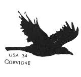 Raven Chronicles Logo